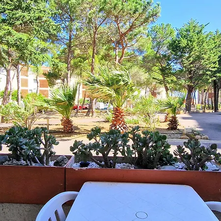 Lägenhet Banyuls: T3 Avec Terrasse, Parking, 6 Pers. - Fr-1-309-295