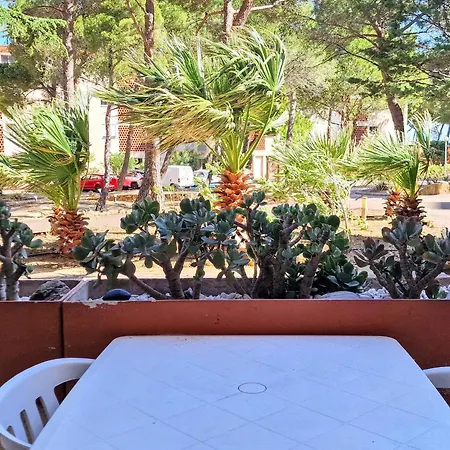Banyuls: T3 Avec Terrasse, Parking, 6 Pers. - Fr-1-309-295 Lägenhet *