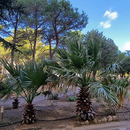 Lägenhet Banyuls: T3 Avec Terrasse, Parking, 6 Pers. - Fr-1-309-295