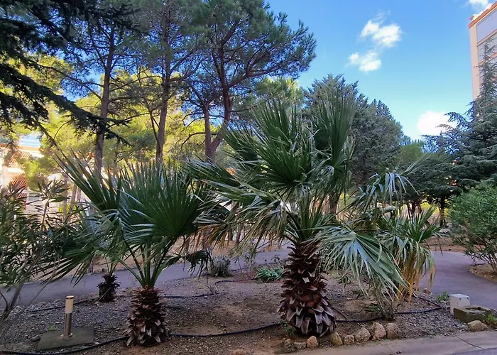 Appartement Banyuls, T3 Avec Terrasse Et Parking Privé, Proche Thalasso - Fr-1-309-295