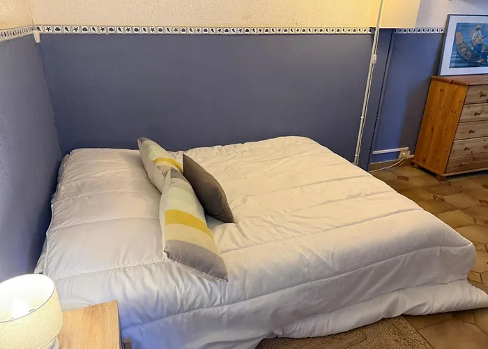 Appartement Banyuls, T3 Avec Terrasse Et Parking Privé, Proche Thalasso - Fr-1-309-295 Banyuls-sur-Mer